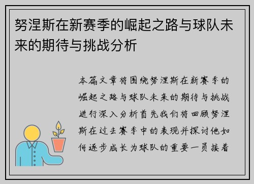 努涅斯在新赛季的崛起之路与球队未来的期待与挑战分析