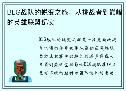 BLG战队的蜕变之旅：从挑战者到巅峰的英雄联盟纪实