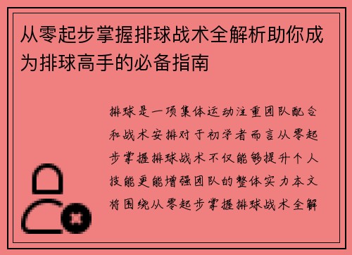 从零起步掌握排球战术全解析助你成为排球高手的必备指南
