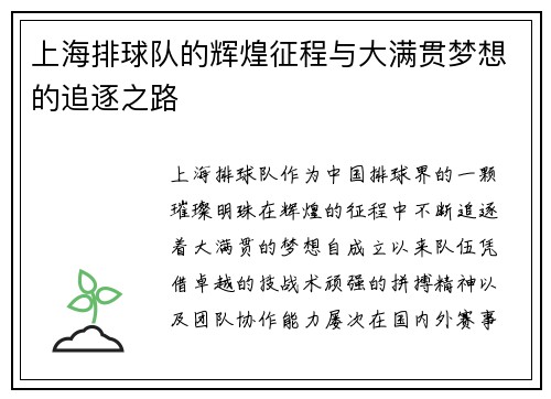 上海排球队的辉煌征程与大满贯梦想的追逐之路
